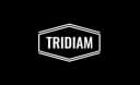 Tridiam logo
