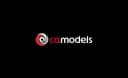 CA Models logo
